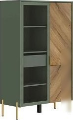 Шкаф-гармошка Black Red White Siena REG1W1D/140 (дымчатый зеленый/дуб вотан)