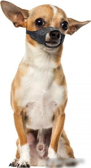 Намордник Duvo Plus Dog Muzzle 4705132/DV (черный)