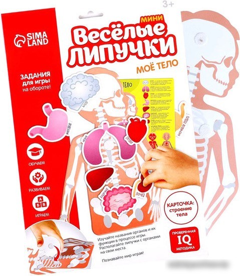Развивающая игра Sima-Land Весёлые липучки. Моё тело 5598574