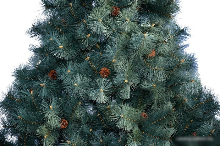 Сосна Merry Bear Келли 1.5 м