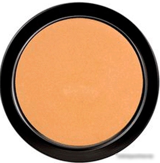 Тональная пудра Paese Illuminating Covering Powder (тон 2C)