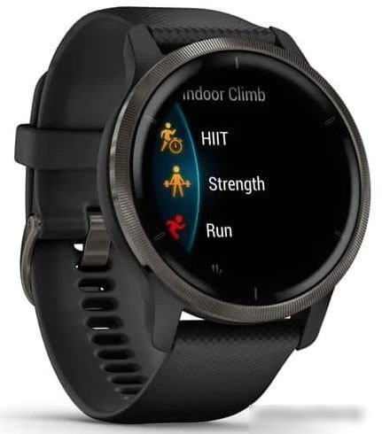 Умные часы Garmin Venu 2 (сланцевая нержавеющая сталь/черный)