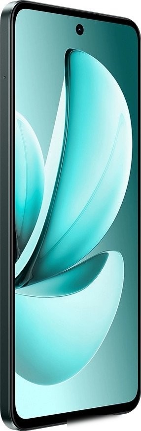 Телефон Realme C71 RMX5303 6GB/128GB международная версия (зеленый)