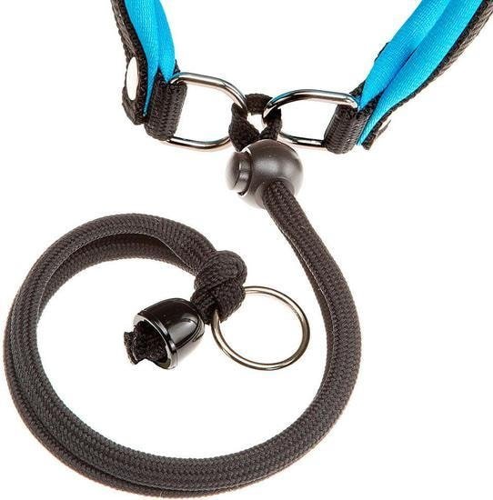 Шлея Ferplast Agila Fluo 3 75449325 (синий)