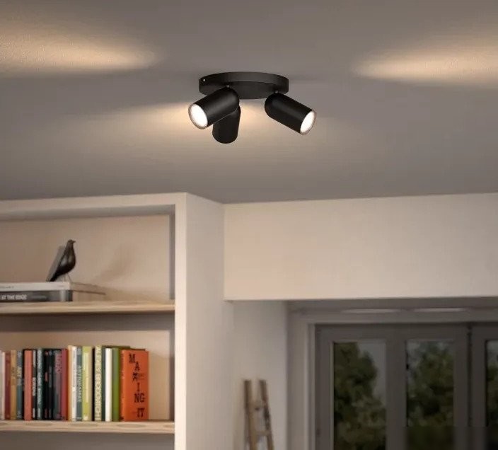 Припотолочная люстра Philips Pongee Plate/Spiral Black 3xNW 230V 915005531301