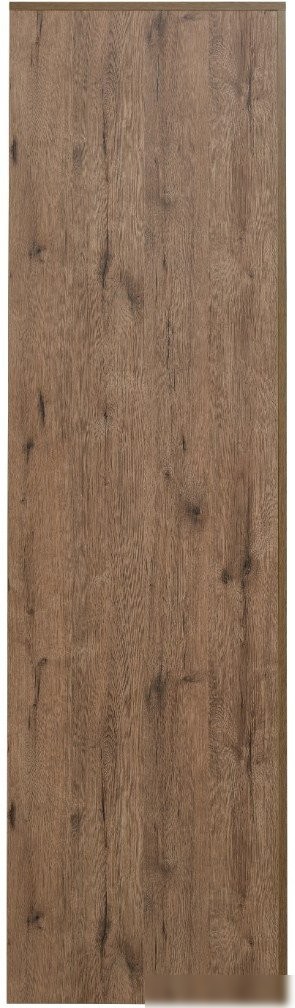 Шкаф распашной Рэйгрупп Bromo 02.02 ДЗ 90x198x55 ШР 02.02 VL (дуб веллингтон)