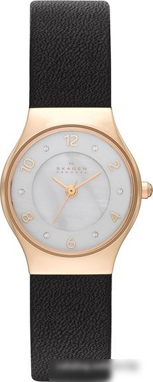 Наручные часы Skagen SKW2209
