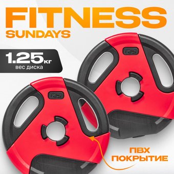 Набор дисков Sundays IR91041 2x1.25 кг