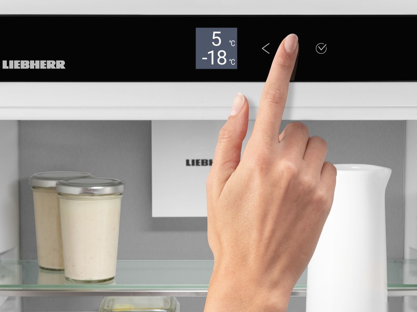 Холодильник Liebherr ICBNSd 5623 Plus BioFresh NoFrost