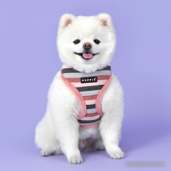 Шлейка Puppia Bryson PAUD-HA1844-IP-XL (розовый)