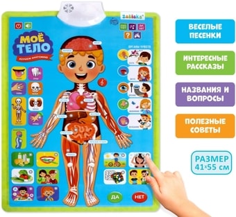 Развивающая игра Zabiaka Изучаем анатомию: Мое тело 5148294