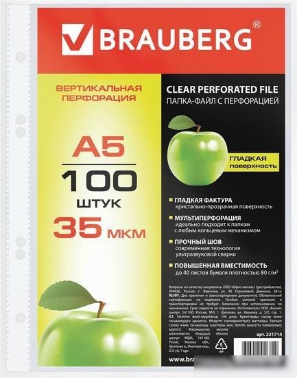 Набор файлов BRAUBERG 221714 (100 шт)