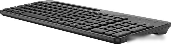 Клавиатура A4Tech Fstyler FBK25 (черный/серый)