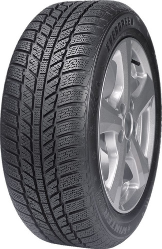 Автомобильные шины Evergreen EW62 205/65R16 95H