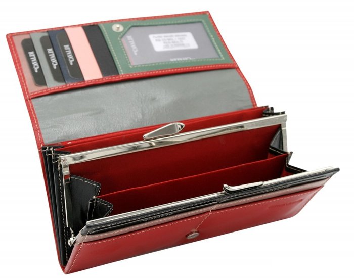 Кошелек Cedar 4U Cavaldi RD-23-GCL (красный мульти)