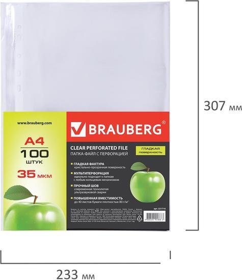 Набор файлов BRAUBERG Яблоко 221710 (100 шт)