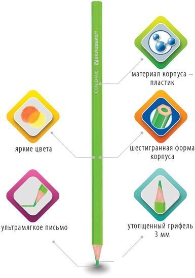Набор цветных карандашей BRAUBERG 181669 (36 шт.)