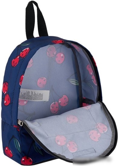 Рюкзак Erich Krause EasyLine 6L Cherryfall 51684