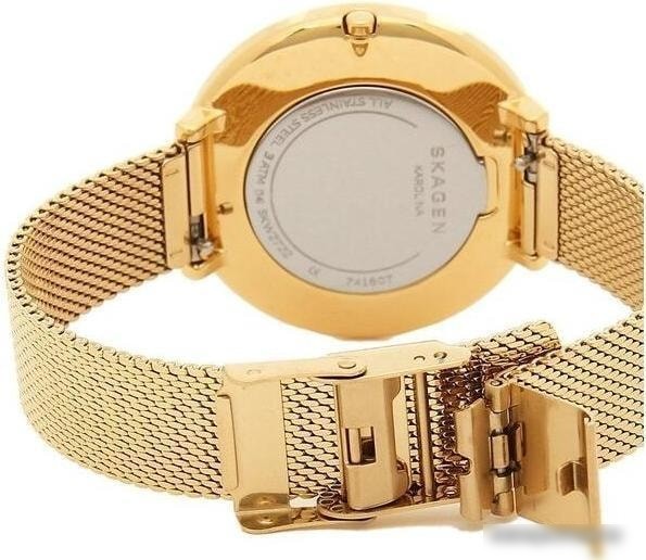 Наручные часы Skagen SKW2722