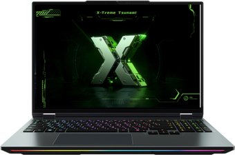 Игровой ноутбук Maibenben X-Treme Tsunami X16E X16E-R99558NQSHBRE0