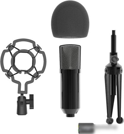 Проводной микрофон Ritmix RDM-160