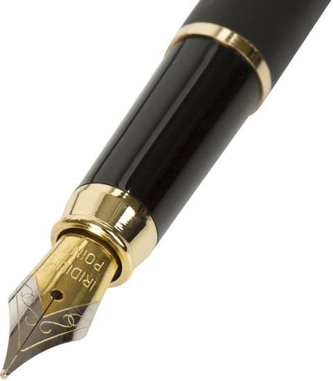 Ручка перьевая BRAUBERG Brioso 143467
