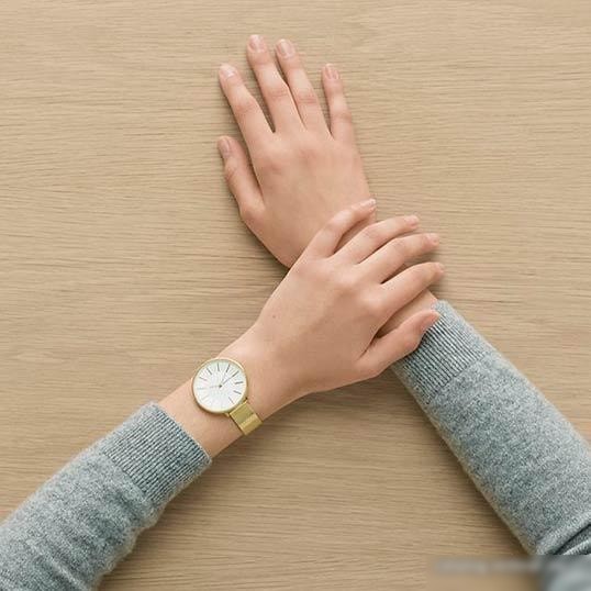 Наручные часы Skagen SKW2722