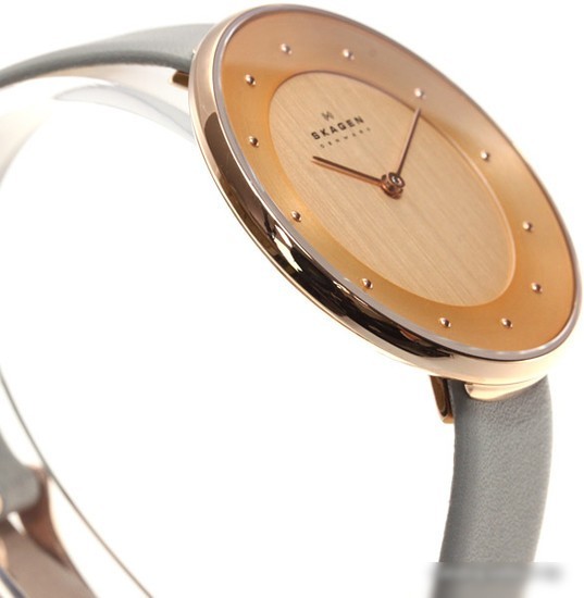 Наручные часы Skagen SKW2139
