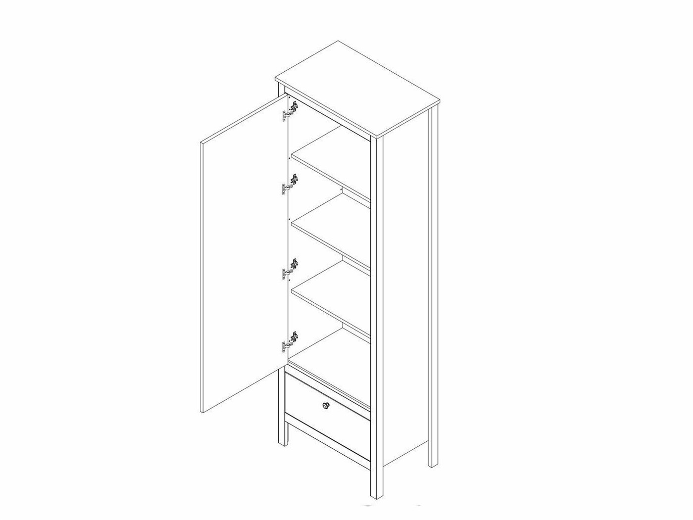 Шкаф распашной BRW Loft REG1D1S (дуб вотан/черный)