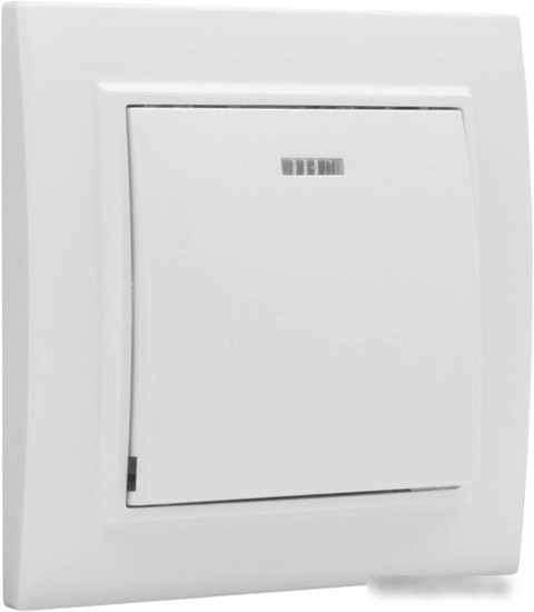 Выключатель EKF Basic Минск ERV10-121-10