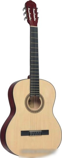 Акустическая гитара Terris TC-390A NA