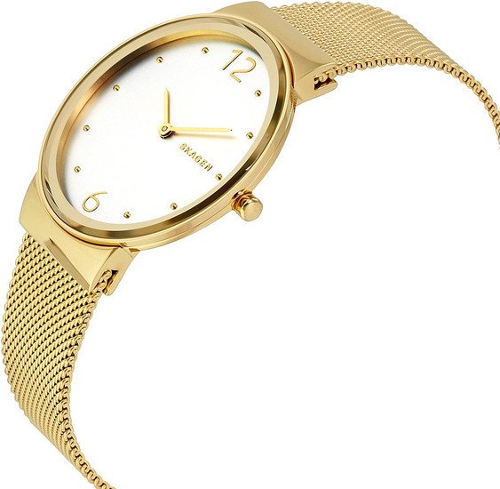 Наручные часы Skagen SKW2519