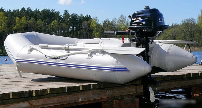 Лодочный мотор Parsun F2.6 BMS
