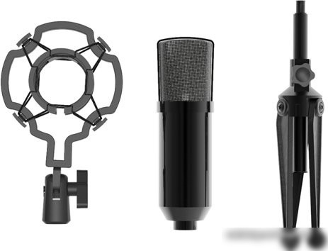 Проводной микрофон Ritmix RDM-160