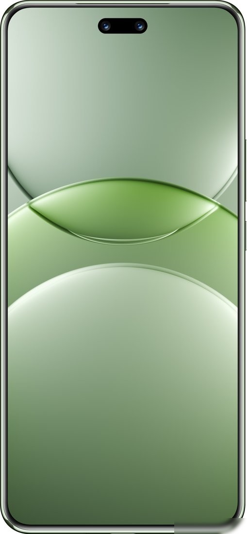 Телефон Huawei nova 13 Pro MIS-LX9 12GB/512GB (дымчатый зеленый)