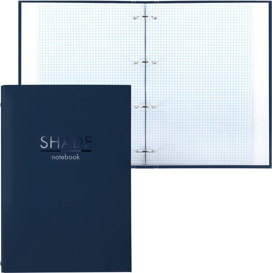 Общая тетрадь BRAUBERG Shade 404102 (100л)
