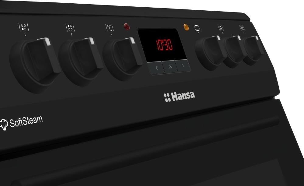 Кухонная плита Hansa FCCM58209H