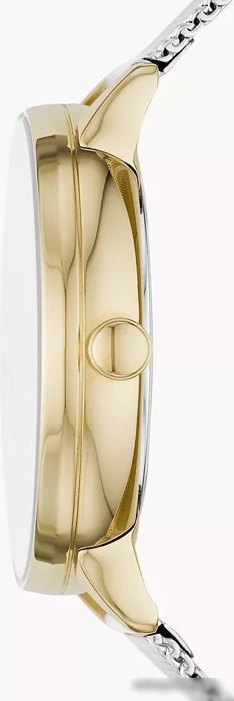 Наручные часы Skagen Riis SKW2912