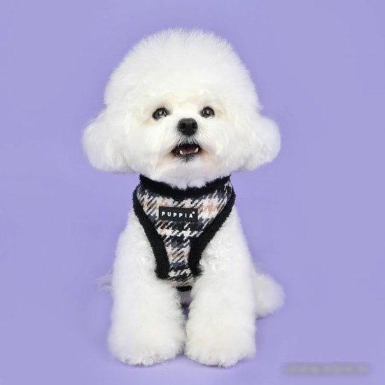 Шлейка Puppia Kellen PAUD-HA1860-BK-XL (черный)