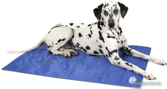 Лежак Scruffs Cool Mat 934620 (голубой)