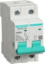 Выключатель нагрузки Tengen TGH1N-125, 2P, 125A, 2M TEN340018