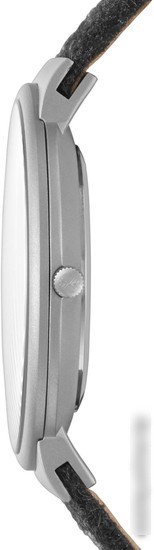 Наручные часы Skagen SKW6097