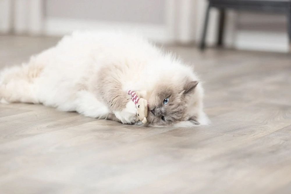 Игрушка для кошек Trixie Медвежонок 45665