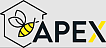 Apex